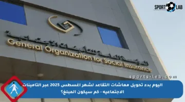اليوم بدء تحويل معاشات التقاعد لشهر أغسطس 2025 عبر التأمينات الاجتماعية – كم سيكون المبلغ؟